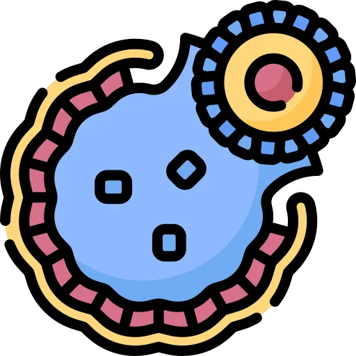 Tool Icon